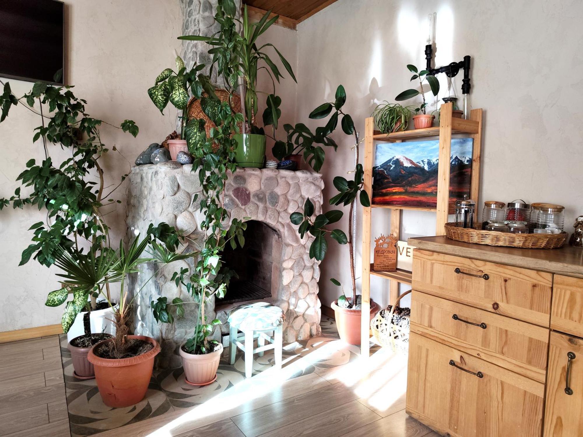 Evergreen Guesthouse Karakol Extérieur photo